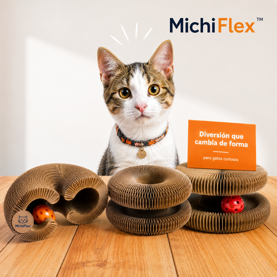 MichiFlex en diferentes formas con gato